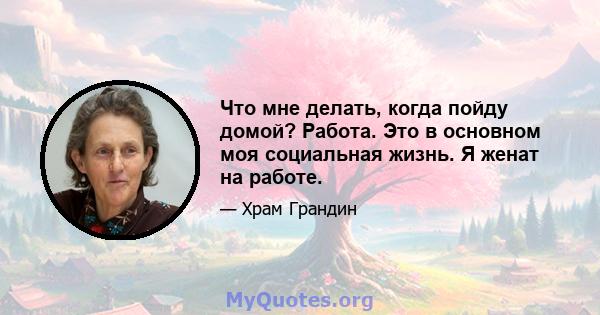 Что мне делать, когда пойду домой? Работа. Это в основном моя социальная жизнь. Я женат на работе.