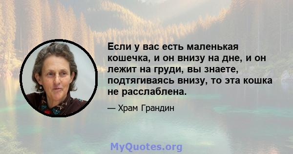 Если у вас есть маленькая кошечка, и он внизу на дне, и он лежит на груди, вы знаете, подтягиваясь внизу, то эта кошка не расслаблена.