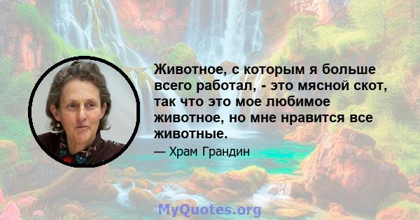 Животное, с которым я больше всего работал, - это мясной скот, так что это мое любимое животное, но мне нравится все животные.