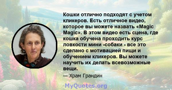 Кошки отлично подходят с учетом кликеров. Есть отличное видео, которое вы можете назвать «Magic Magic». В этом видео есть сцена, где кошка обучена проходить курс ловкости мини -собаки - все это сделано с мотивацией пищи 