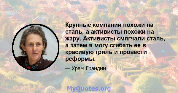 Крупные компании похожи на сталь, а активисты похожи на жару. Активисты смягчали сталь, а затем я могу сгибать ее в красивую гриль и провести реформы.