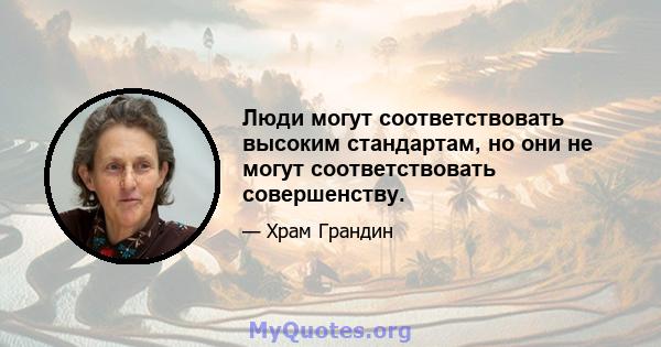 Люди могут соответствовать высоким стандартам, но они не могут соответствовать совершенству.