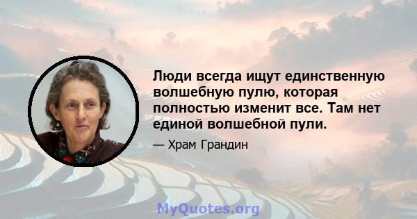 Люди всегда ищут единственную волшебную пулю, которая полностью изменит все. Там нет единой волшебной пули.