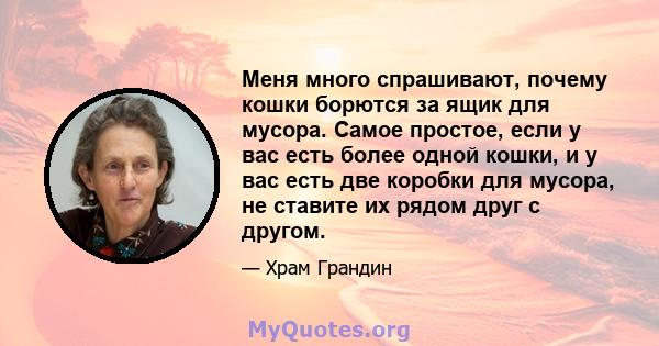 Меня много спрашивают, почему кошки борются за ящик для мусора. Самое простое, если у вас есть более одной кошки, и у вас есть две коробки для мусора, не ставите их рядом друг с другом.