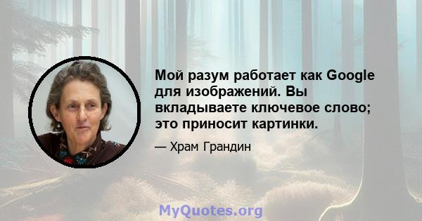 Мой разум работает как Google для изображений. Вы вкладываете ключевое слово; это приносит картинки.