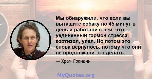 Мы обнаружили, что если вы вытащите собаку по 45 минут в день и работали с ней, что уединенный гормон стресса, кортизол, упал. Но потом это снова вернулось, потому что они не продолжали это делать.