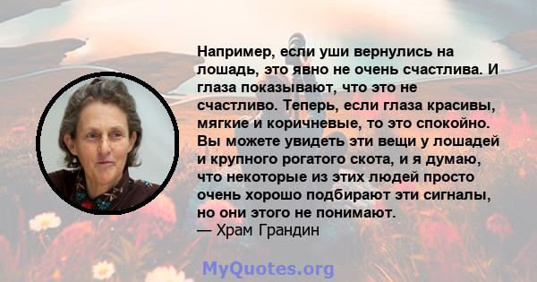 Например, если уши вернулись на лошадь, это явно не очень счастлива. И глаза показывают, что это не счастливо. Теперь, если глаза красивы, мягкие и коричневые, то это спокойно. Вы можете увидеть эти вещи у лошадей и