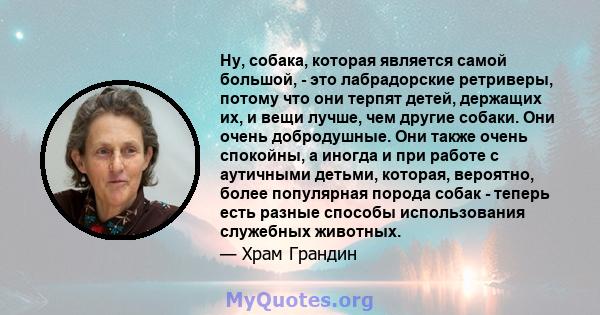 Ну, собака, которая является самой большой, - это лабрадорские ретриверы, потому что они терпят детей, держащих их, и вещи лучше, чем другие собаки. Они очень добродушные. Они также очень спокойны, а иногда и при работе 