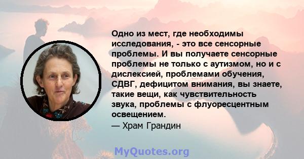 Одно из мест, где необходимы исследования, - это все сенсорные проблемы. И вы получаете сенсорные проблемы не только с аутизмом, но и с дислексией, проблемами обучения, СДВГ, дефицитом внимания, вы знаете, такие вещи,