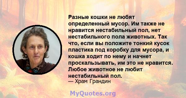 Разные кошки не любят определенный мусор. Им также не нравится нестабильный пол, нет нестабильного пола животных. Так что, если вы положите тонкий кусок пластика под коробку для мусора, и кошка ходит по нему и начнет