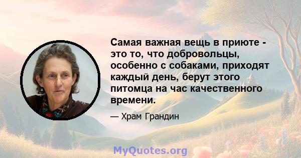 Самая важная вещь в приюте - это то, что добровольцы, особенно с собаками, приходят каждый день, берут этого питомца на час качественного времени.