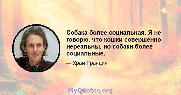 Собака более социальная. Я не говорю, что кошки совершенно нереальны, но собаки более социальные.