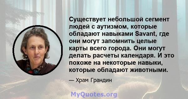 Существует небольшой сегмент людей с аутизмом, которые обладают навыками Savant, где они могут запомнить целые карты всего города. Они могут делать расчеты календаря. И это похоже на некоторые навыки, которые обладают