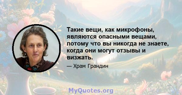 Такие вещи, как микрофоны, являются опасными вещами, потому что вы никогда не знаете, когда они могут отзывы и визжать.