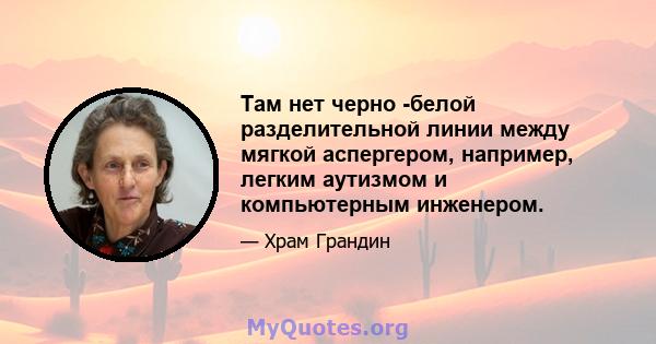 Там нет черно -белой разделительной линии между мягкой аспергером, например, легким аутизмом и компьютерным инженером.