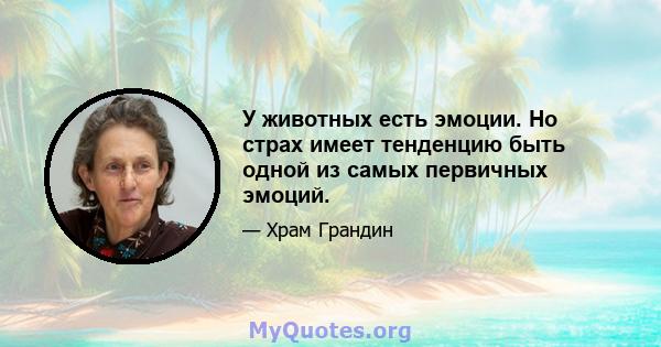 У животных есть эмоции. Но страх имеет тенденцию быть одной из самых первичных эмоций.