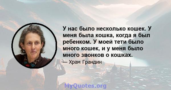 У нас было несколько кошек. У меня была кошка, когда я был ребенком. У моей тети было много кошек, и у меня было много звонков о кошках.