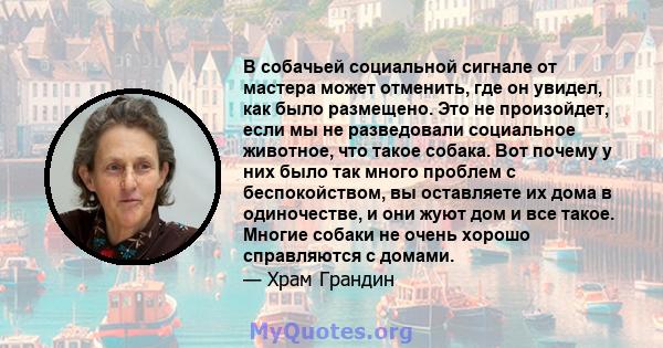 В собачьей социальной сигнале от мастера может отменить, где он увидел, как было размещено. Это не произойдет, если мы не разведовали социальное животное, что такое собака. Вот почему у них было так много проблем с