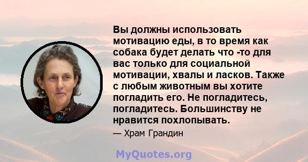 Вы должны использовать мотивацию еды, в то время как собака будет делать что -то для вас только для социальной мотивации, хвалы и ласков. Также с любым животным вы хотите погладить его. Не погладитесь, погладитесь.