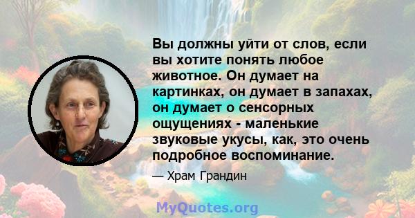 Вы должны уйти от слов, если вы хотите понять любое животное. Он думает на картинках, он думает в запахах, он думает о сенсорных ощущениях - маленькие звуковые укусы, как, это очень подробное воспоминание.