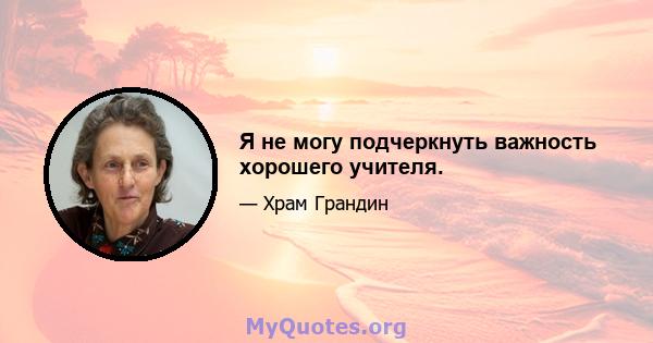 Я не могу подчеркнуть важность хорошего учителя.