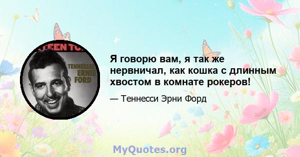 Я говорю вам, я так же нервничал, как кошка с длинным хвостом в комнате рокеров!