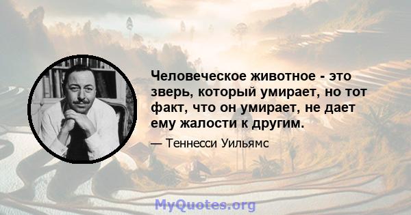 Человеческое животное - это зверь, который умирает, но тот факт, что он умирает, не дает ему жалости к другим.