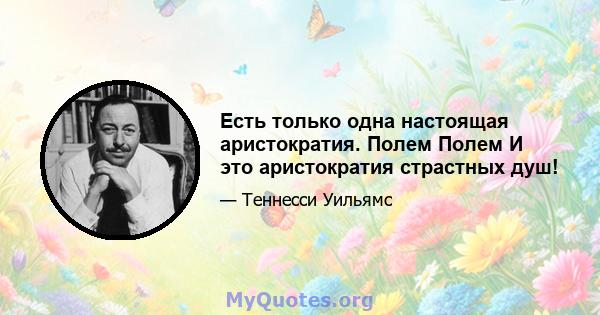 Есть только одна настоящая аристократия. Полем Полем И это аристократия страстных душ!