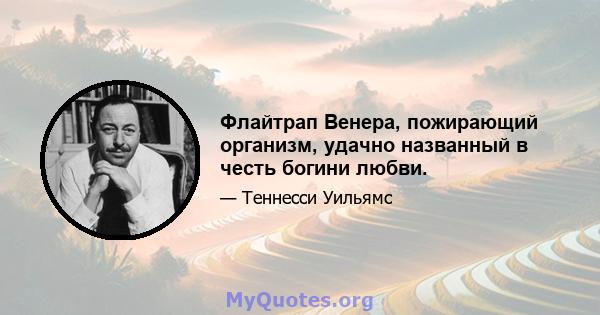 Флайтрап Венера, пожирающий организм, удачно названный в честь богини любви.