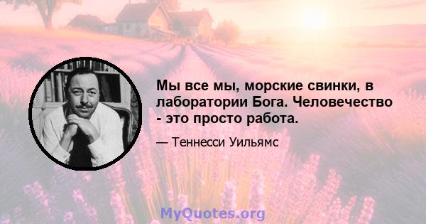 Мы все мы, морские свинки, в лаборатории Бога. Человечество - это просто работа.