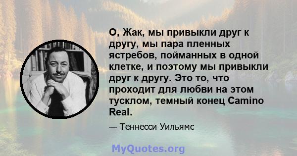 О, Жак, мы привыкли друг к другу, мы пара пленных ястребов, пойманных в одной клетке, и поэтому мы привыкли друг к другу. Это то, что проходит для любви на этом тусклом, темный конец Camino Real.