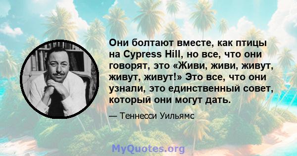 Они болтают вместе, как птицы на Cypress Hill, но все, что они говорят, это «Живи, живи, живут, живут, живут!» Это все, что они узнали, это единственный совет, который они могут дать.