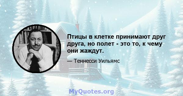 Птицы в клетке принимают друг друга, но полет - это то, к чему они жаждут.