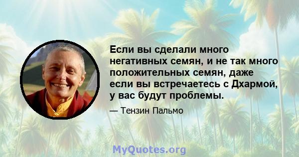 Если вы сделали много негативных семян, и не так много положительных семян, даже если вы встречаетесь с Дхармой, у вас будут проблемы.