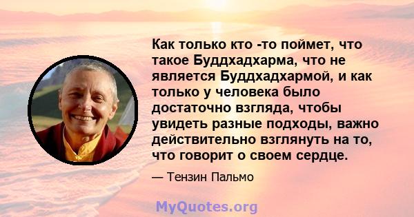 Как только кто -то поймет, что такое Буддхадхарма, что не является Буддхадхармой, и как только у человека было достаточно взгляда, чтобы увидеть разные подходы, важно действительно взглянуть на то, что говорит о своем