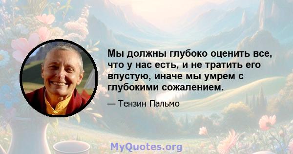 Мы должны глубоко оценить все, что у нас есть, и не тратить его впустую, иначе мы умрем с глубокими сожалением.