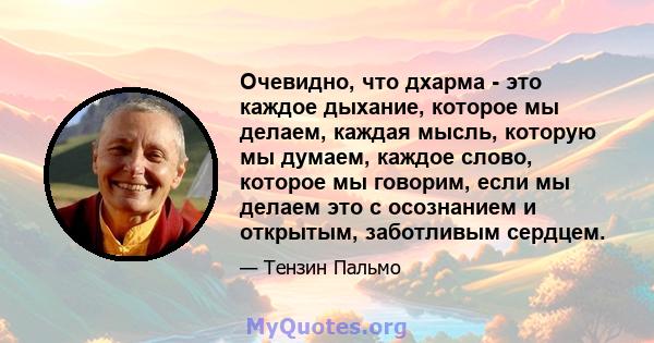 Очевидно, что дхарма - это каждое дыхание, которое мы делаем, каждая мысль, которую мы думаем, каждое слово, которое мы говорим, если мы делаем это с осознанием и открытым, заботливым сердцем.