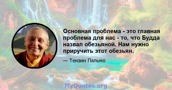 Основная проблема - это главная проблема для нас - то, что Будда назвал обезьяной. Нам нужно приручить этот обезьян.