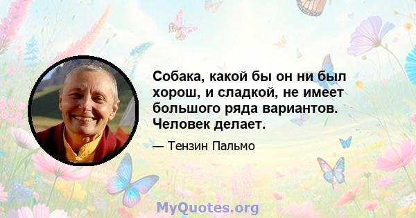 Собака, какой бы он ни был хорош, и сладкой, не имеет большого ряда вариантов. Человек делает.