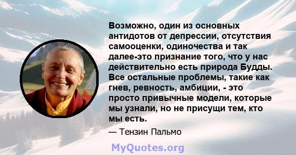 Возможно, один из основных антидотов от депрессии, отсутствия самооценки, одиночества и так далее-это признание того, что у нас действительно есть природа Будды. Все остальные проблемы, такие как гнев, ревность,