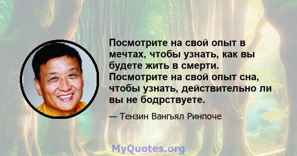 Посмотрите на свой опыт в мечтах, чтобы узнать, как вы будете жить в смерти. Посмотрите на свой опыт сна, чтобы узнать, действительно ли вы не бодрствуете.