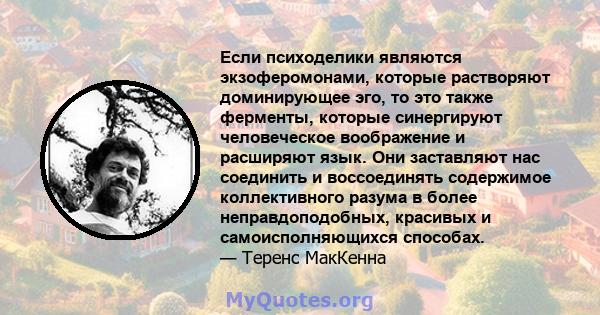 Если психоделики являются экзоферомонами, которые растворяют доминирующее эго, то это также ферменты, которые синергируют человеческое воображение и расширяют язык. Они заставляют нас соединить и воссоединять содержимое 