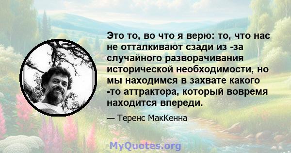 Это то, во что я верю: то, что нас не отталкивают сзади из -за случайного разворачивания исторической необходимости, но мы находимся в захвате какого -то аттрактора, который вовремя находится впереди.