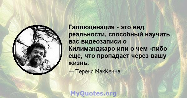 Галлюцинация - это вид реальности, способный научить вас видеозаписи о Килиманджаро или о чем -либо еще, что пропадает через вашу жизнь.