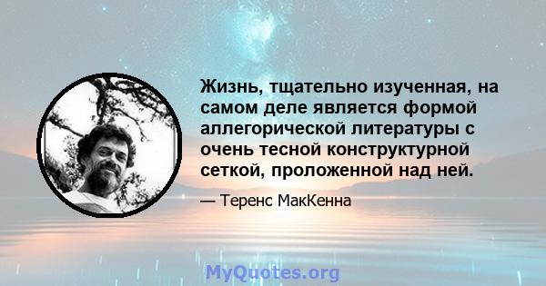 Жизнь, тщательно изученная, на самом деле является формой аллегорической литературы с очень тесной конструктурной сеткой, проложенной над ней.