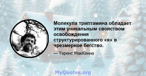 Молекула триптамина обладает этим уникальным свойством освобождения структурированного «я» в чрезмерное бегство.