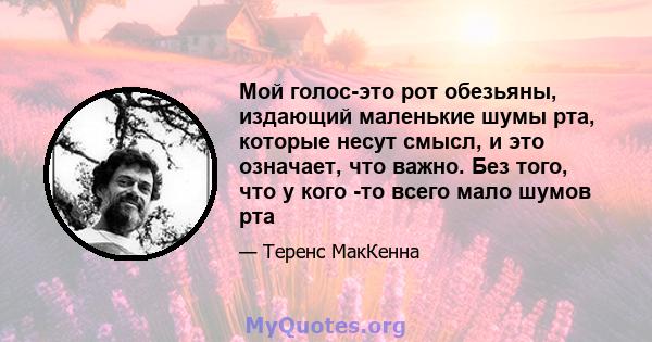 Мой голос-это рот обезьяны, издающий маленькие шумы рта, которые несут смысл, и это означает, что важно. Без того, что у кого -то всего мало шумов рта