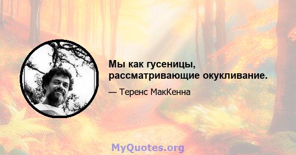 Мы как гусеницы, рассматривающие окукливание.