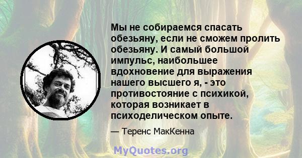 Мы не собираемся спасать обезьяну, если не сможем пролить обезьяну. И самый большой импульс, наибольшее вдохновение для выражения нашего высшего я, - это противостояние с психикой, которая возникает в психоделическом