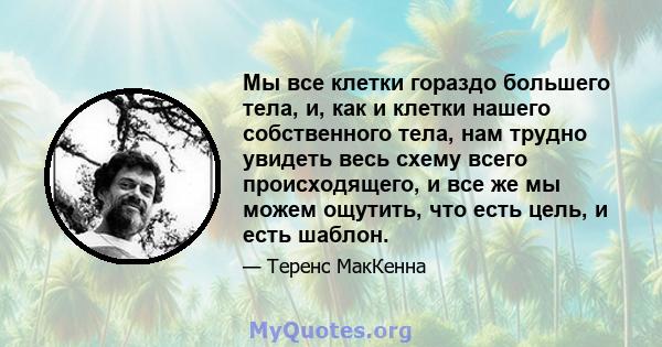 Мы все клетки гораздо большего тела, и, как и клетки нашего собственного тела, нам трудно увидеть весь схему всего происходящего, и все же мы можем ощутить, что есть цель, и есть шаблон.